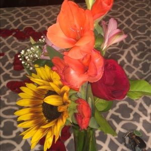 Meet your Posher, Morgan